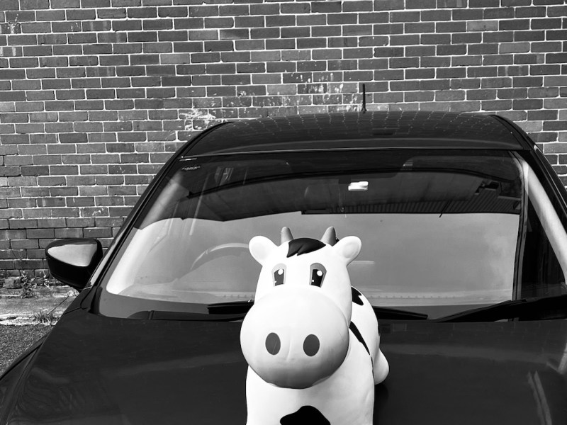 The cost of&nbsp;Caring